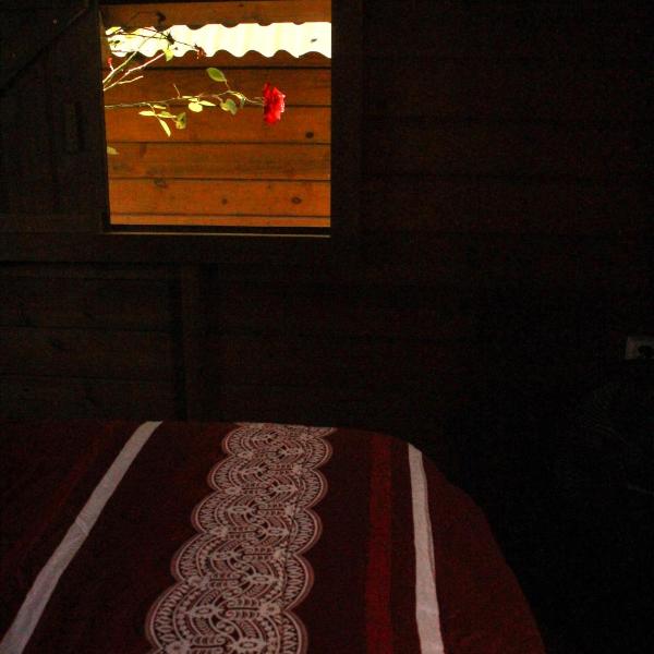 Valhalla Glamping House - Foto 5