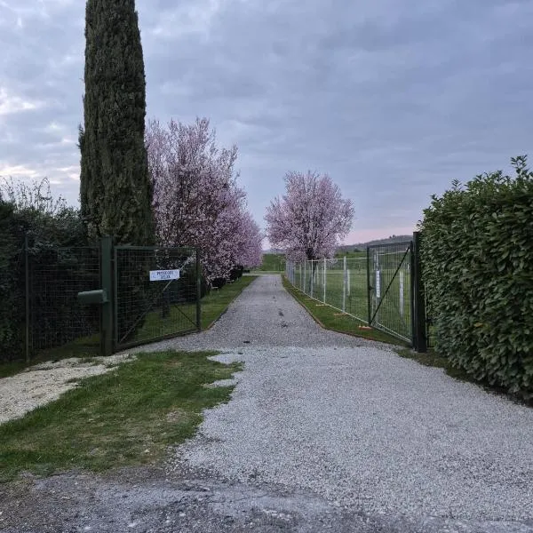 B&B Pizziconi Relax, hotel en Podere Modello