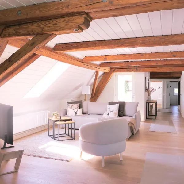 Family Suite little Nest, 120 m, Hallwilersee Nähe, Hund,2 PP, 2 Bäder, hotel en Teufenthal