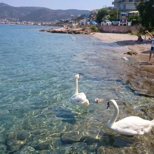 Viesnīca Seafront Porto Rafti, 95 sq m close to airport, garden pilsētā Agios Spyridon