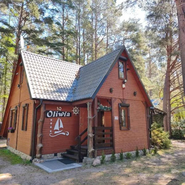 Całoroczny Domek Oliwia DELUX na wyłączność Balia, Hotel in Lubiatowo