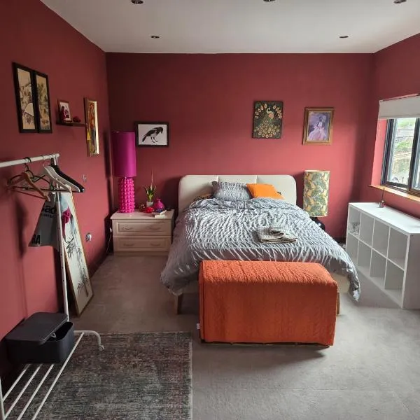 Room in penthouse apartment in Leyton, hotel in London