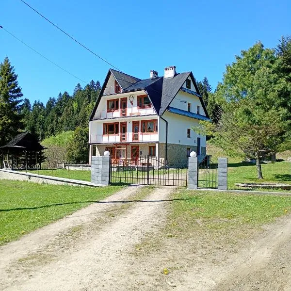 Krynica Zdrój - Dom nad wodą, hotel en Piorunka