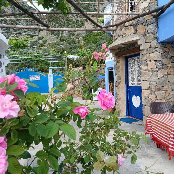 Blue House Town, hotel v mestu Chefchaouene