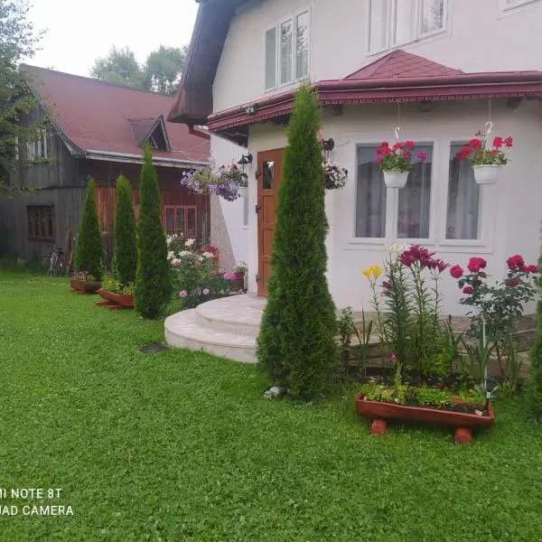Casa Bunicilor, Hotel in Moldoviţa