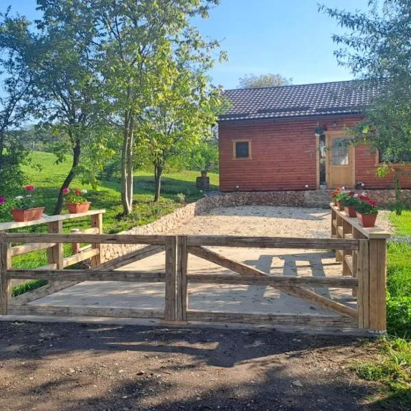 Cabana Laura، فندق في Tîrnăveni