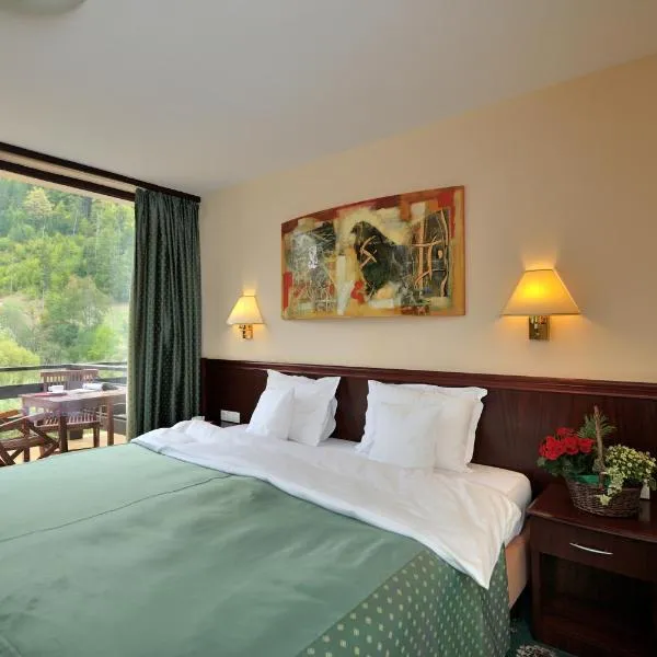 Zan Hotel Voineasa, khách sạn ở Voineasa