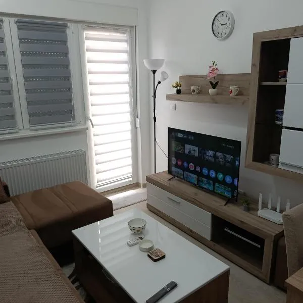Top Spa apartman, hotel in Banja Koviljača