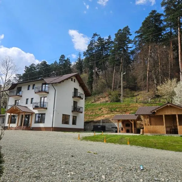 Vila de Sub Pădure, hotel in Zărneşti