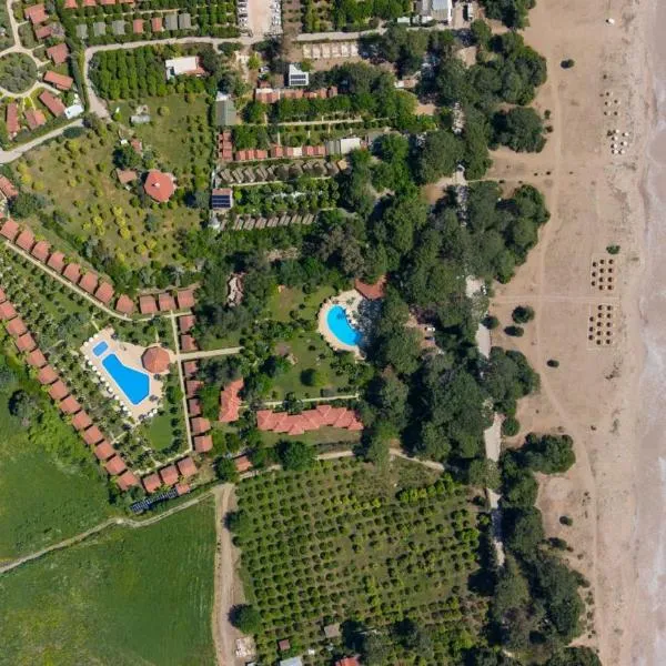 Odile Hotel by Naturelife, hôtel à Çıralı