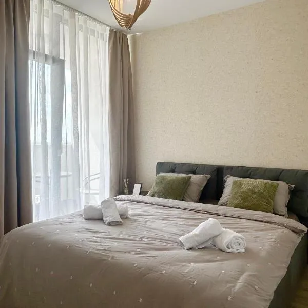 V'One - Bright & Spacious Apartment - Free Parking，蒂米什瓦拉的飯店