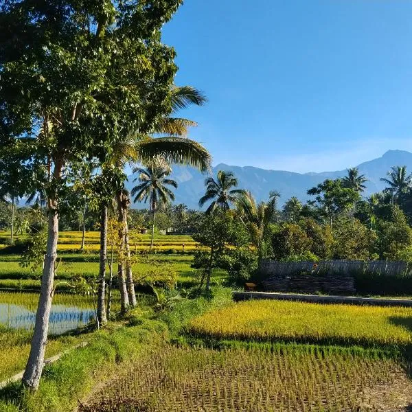Rinjani inn Lombok, hotel in Tetebatu