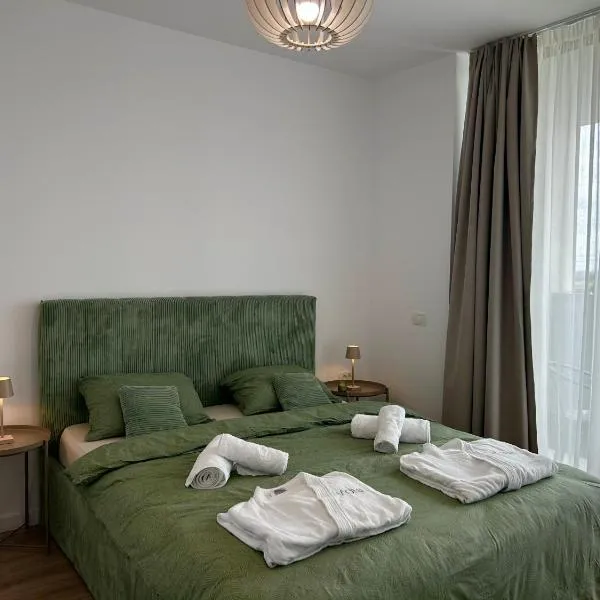 V'One - Cozy & Quiet Apartment - Free Parking、ティミショアラのホテル