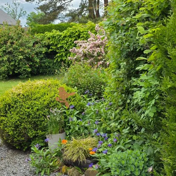 Studio Bienvenue du côté de chez nous avec jardin privatif, hotell sihtkohas Wignehies