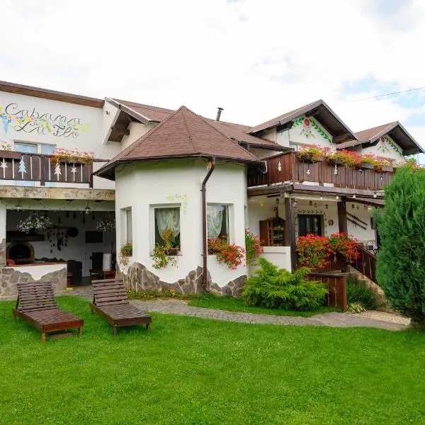 Cabana la Flo, hotel di Sohodol