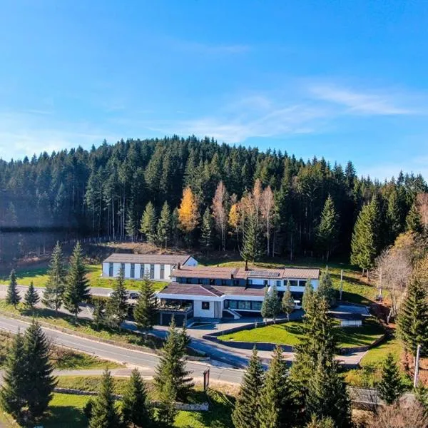 Hotel Forest, hotel em Pale