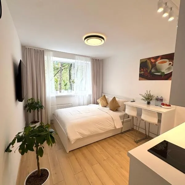 Mežaparks, Ezera Solo Apartment, free parking, hotel a Riga