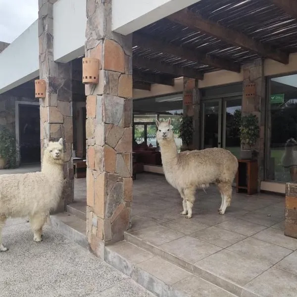 Hotel Limari, готель у місті Овальє
