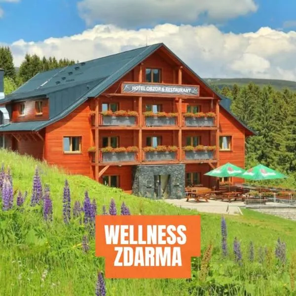 Hotel Obzor, hotel di Pec pod Snezkou