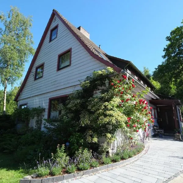 Frauenpension Arleta - Women only, hotel v destinaci Goslar