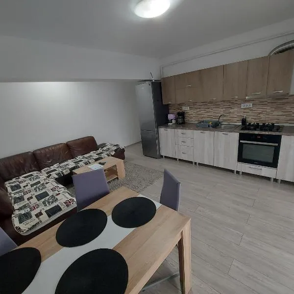 Apartament Dem Radulescu Bloc nou!, hotel v destinaci Râmnicu Vâlcea