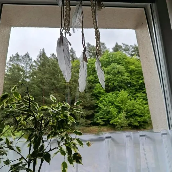 Apartmán s terasou REZIDENCE 300 Všemina, hôtel à Všemina