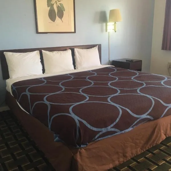 Village Inn Salina, hotel in Salina