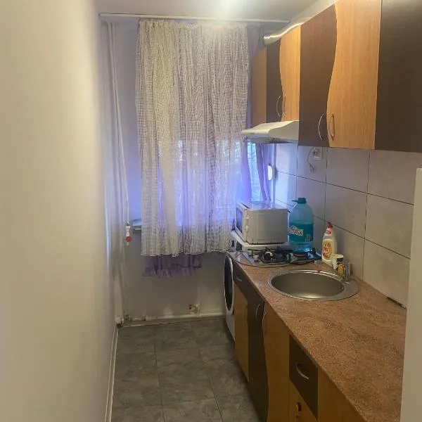 Sofia Apartament, hotel u gradu Drobeta-Turnu Severin