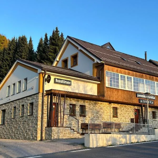 Penzion Aurelia Donovaly, hotelli kohteessa Donovaly