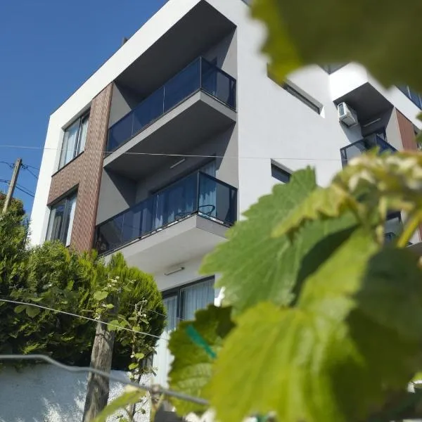 Boutique Hotel Sleep and Wine, hotel in Batoemi