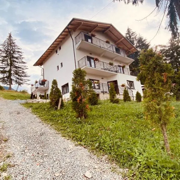 Casa dintre Brazi, khách sạn ở Statiunea Borsa