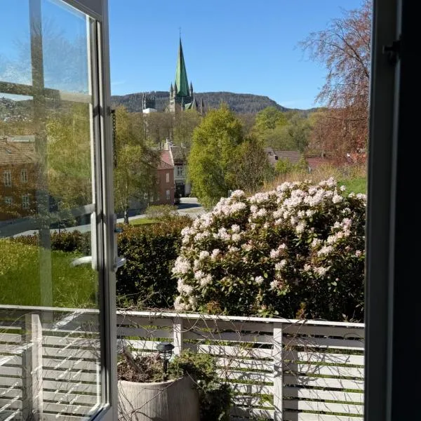 Private house-terrace-garden -parking-WiFi-smartTV, hotel di Trondheim