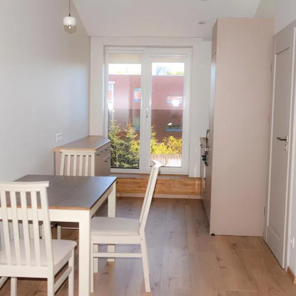Erdvūs apartamentai Prie Jūros, hotel en Melnragė