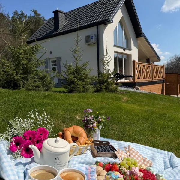 Polana House, hotel u gradu Niedźwiada