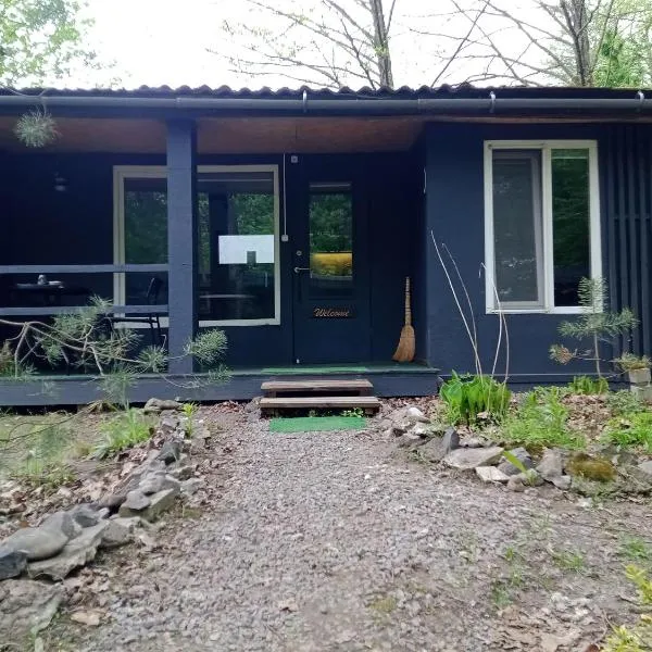 Scandinavia bungalow، فندق في Kamennaya Gora