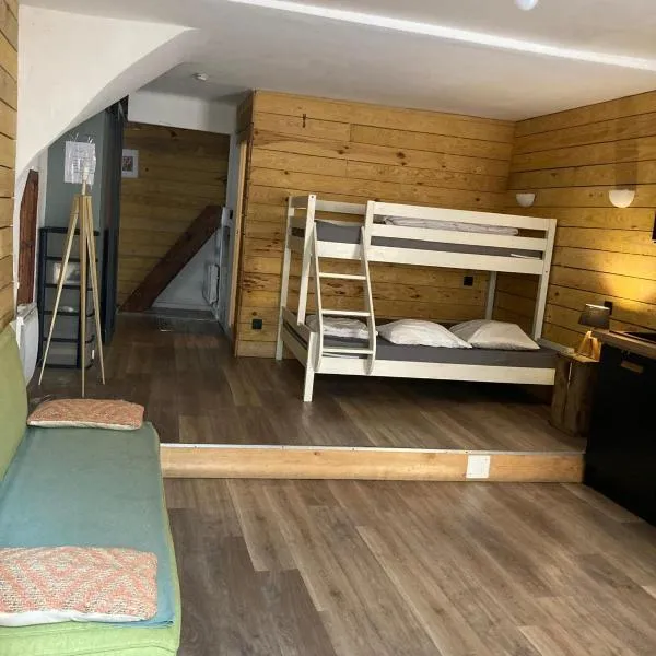 Appartement T1 bis cosy avec patio 17 BIS, Hotel in Tourbes