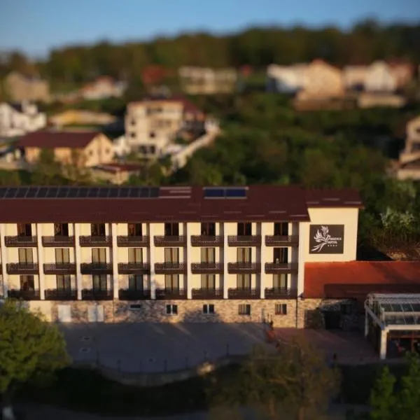 Phoenix Hotel Hunedoara, hotel i Hunedoara