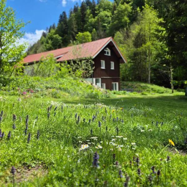 Sägemühle Eschachthal, hotell i Buchenberg