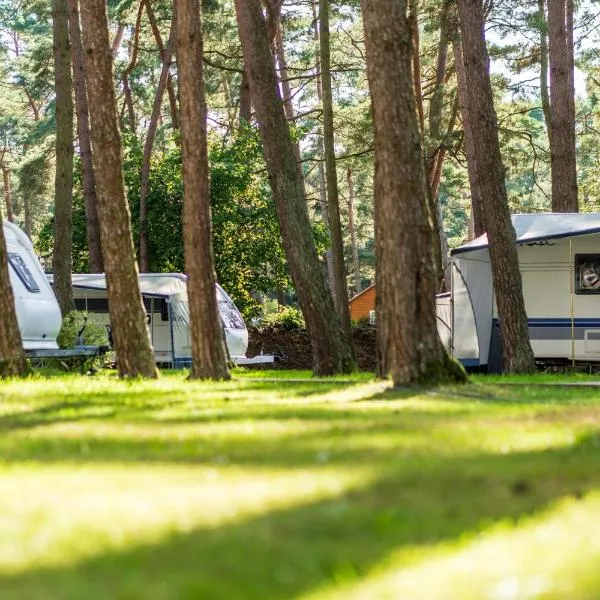 Urlaub im Wohnwagen mitten im Wald, viešbutis mieste Liutovas