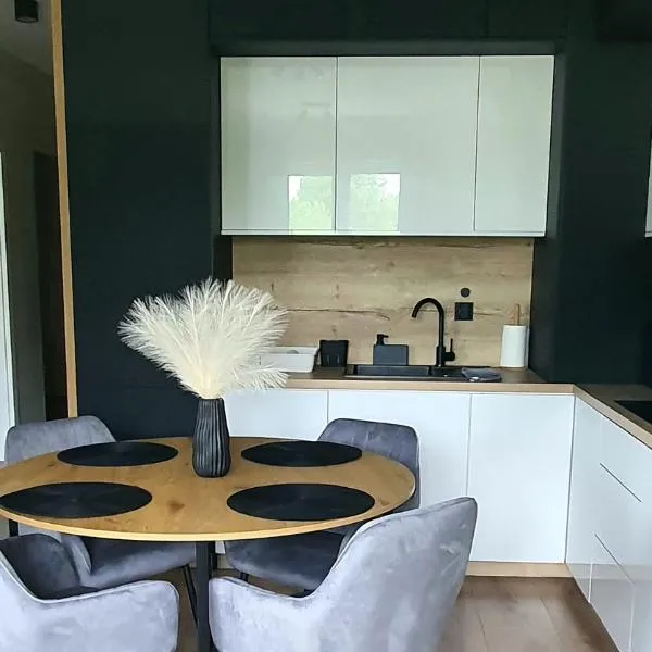 Mazury Home Apartament, hotel Giżyckóban