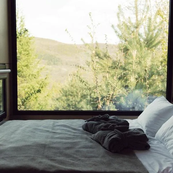 Dvoye, hotell i Vodniki