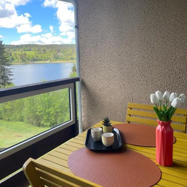 Appartement en bord de lac, hotel v destinaci Malbuisson