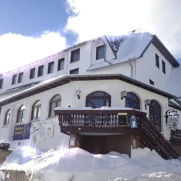 Hotel Zum Gründle, hotel in Oberhof