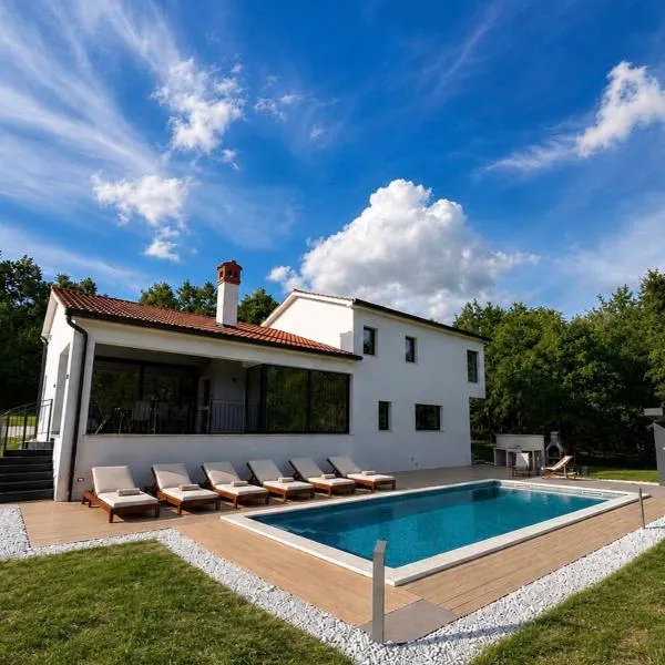 Vila Prisunca jacuzzi & swimming pool, хотел в Пазин