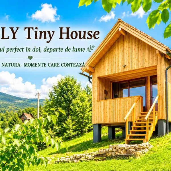 Wezly Tiny House, hotel in Măgura