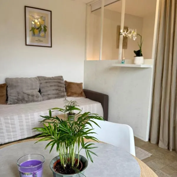 Appartement cocooning 34m2, hotel din Évreux