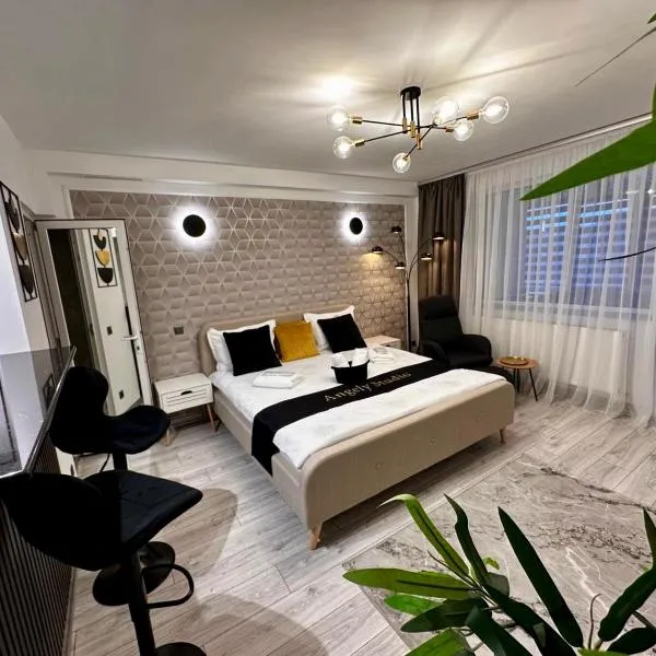 Angely Studio-balcon & parcare gratuită ,Self Check-in, Hotel in Onești