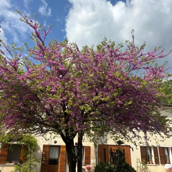 B&B Altè, hotel en Paderno del Grappa