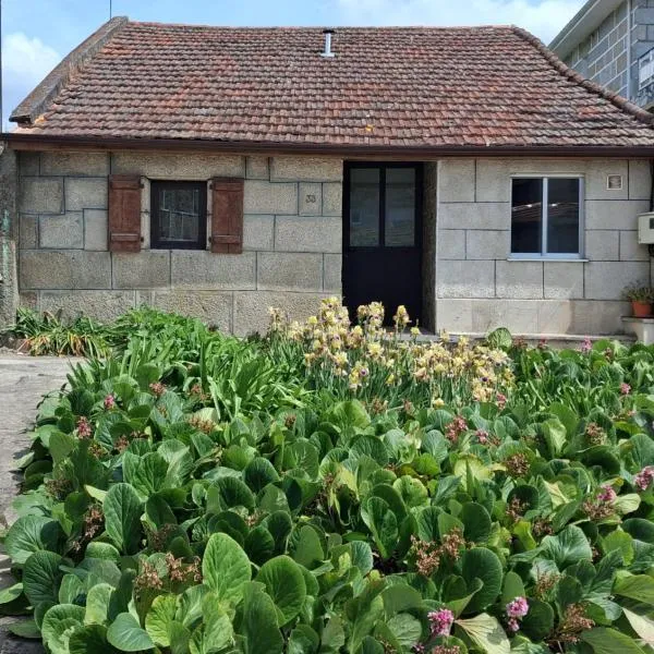 Casa YaraMaya, מלון בקארבאינו