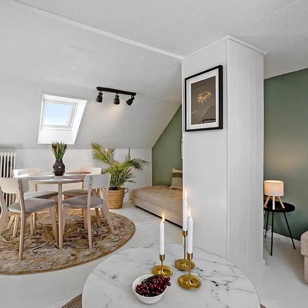 Small, cozy penthouse with free parking, hotel in Aalborg